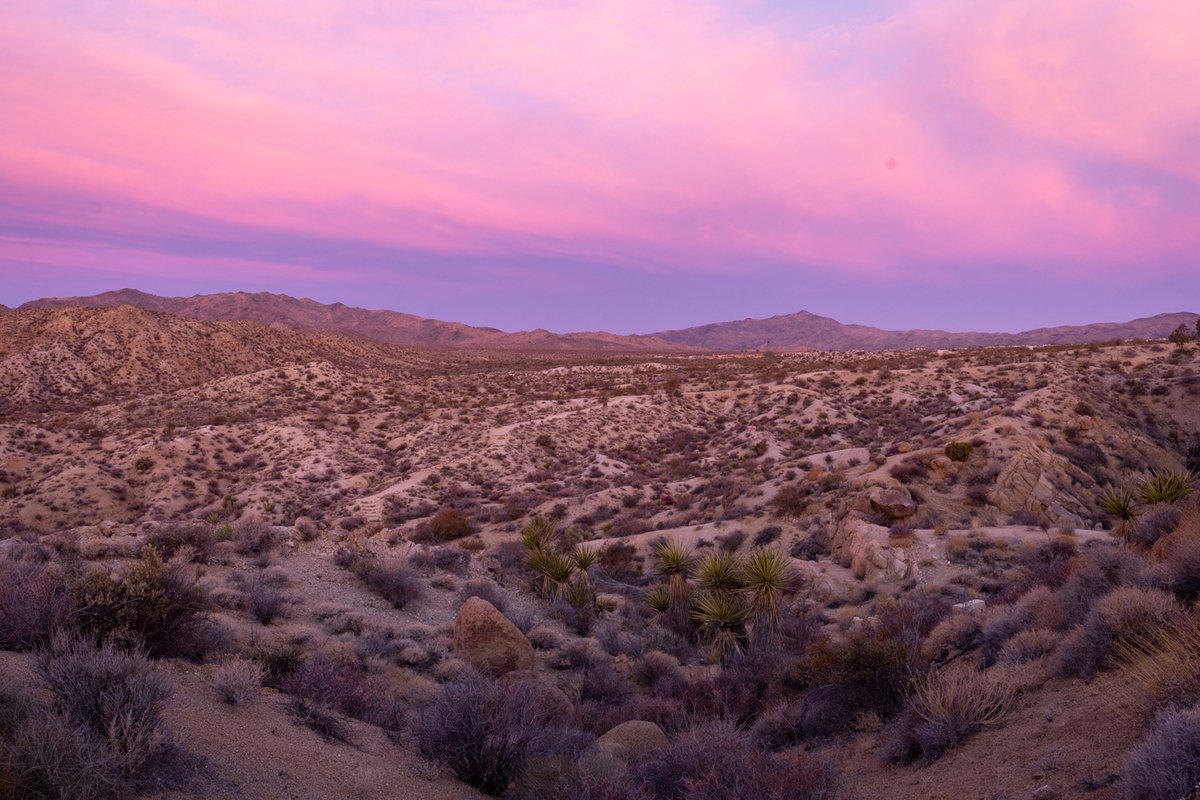 Desert landscape at dusk